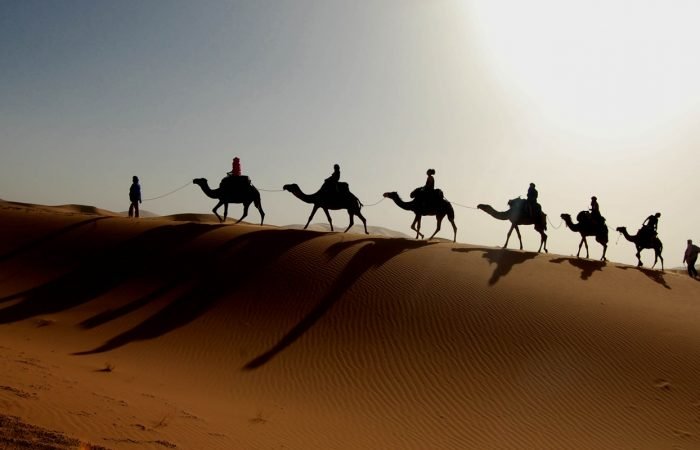 camel trek from marrakech to zagora