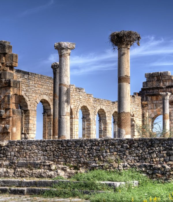 day trip from fez to volubilis